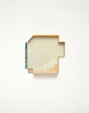 多数の Tiscornia - Después