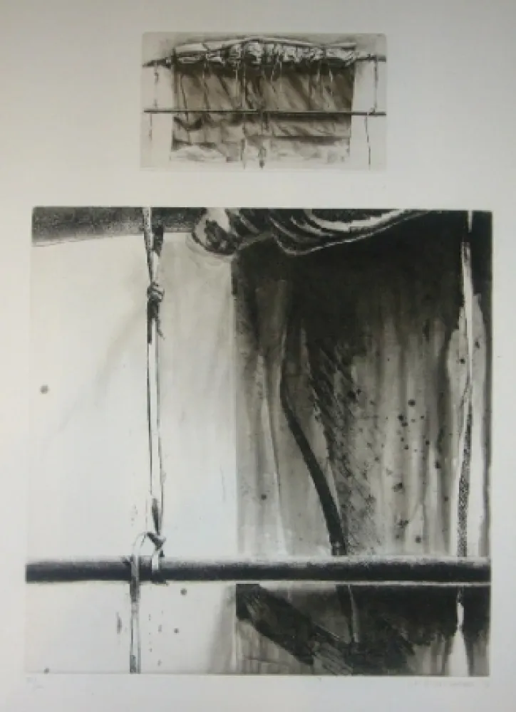 アクチアント Titus Carmel - Narwa 1