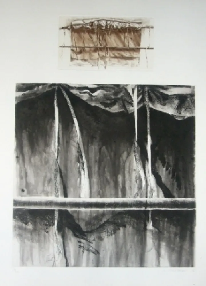 アクチアント Titus Carmel - Narwa 2