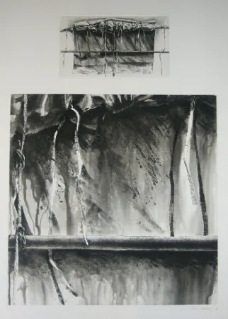 アクチアント Titus Carmel - Narwa 4