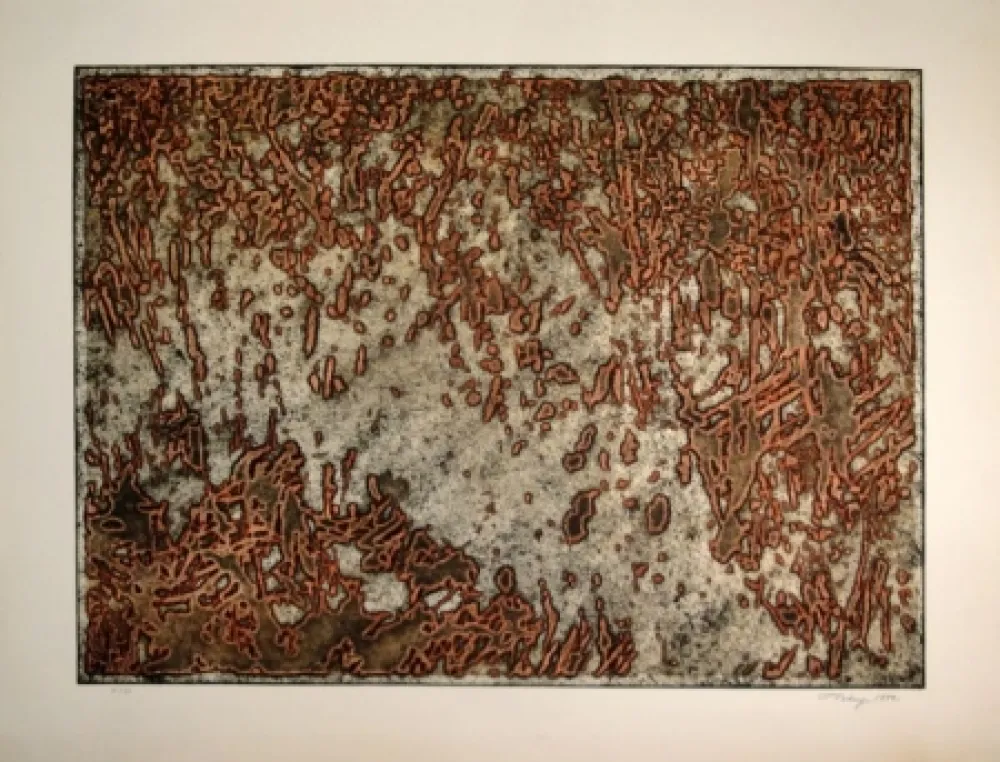 アクチアント Tobey - Message from a desert Star