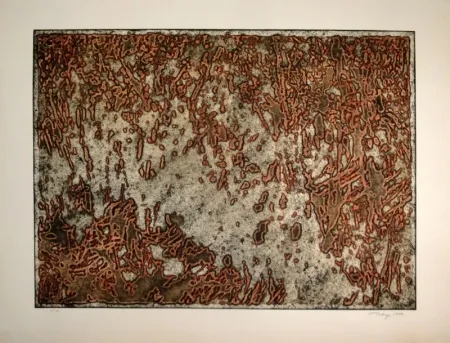 アクチアント Tobey - Message from a desert Star