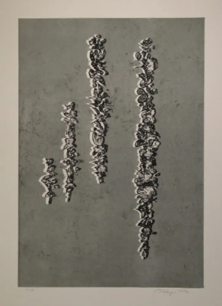 アクチアント Tobey - They’ve come back I