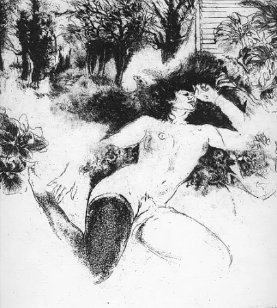 挿絵入り本 Toccacieli - Occhi antichi