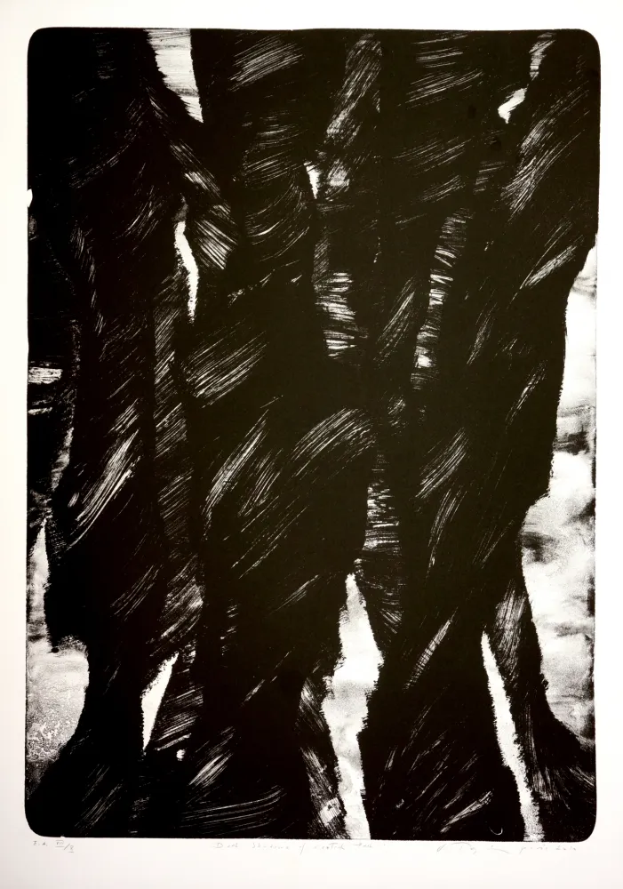 リトグラフ Tøjner - Dark shadows of central park