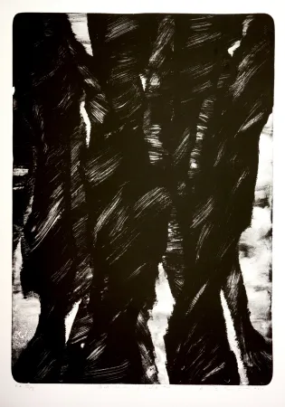 リトグラフ Tøjner - Dark shadows of central park