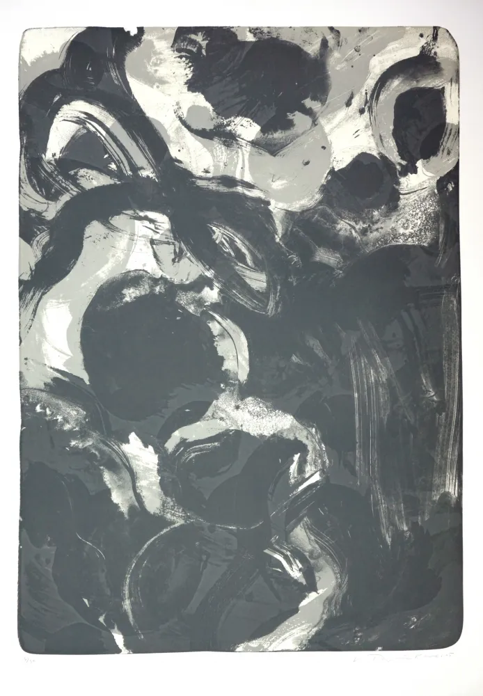 リトグラフ Tøjner - Recherche de formes dispersées IV