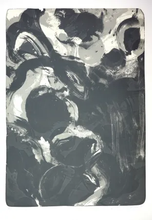 リトグラフ Tøjner - Recherche de formes dispersées IV