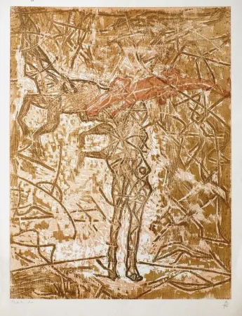 木版 Toledo - Crocodrilos de cabeza