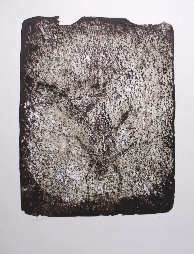 リトグラフ Toledo - Plaga