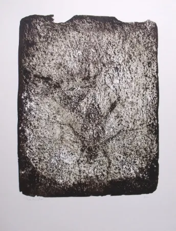 リトグラフ Toledo - Plaga