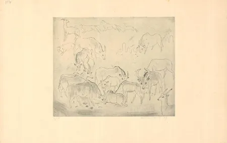 エッチングと　アクチアント Tonny - Untitled