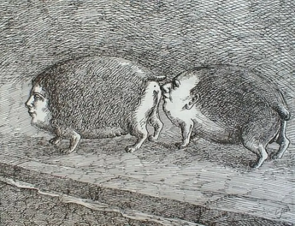 彫版 Topor - Senza titolo