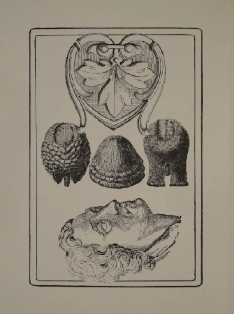 挿絵入り本 Toyen - Le Roi Gordogane