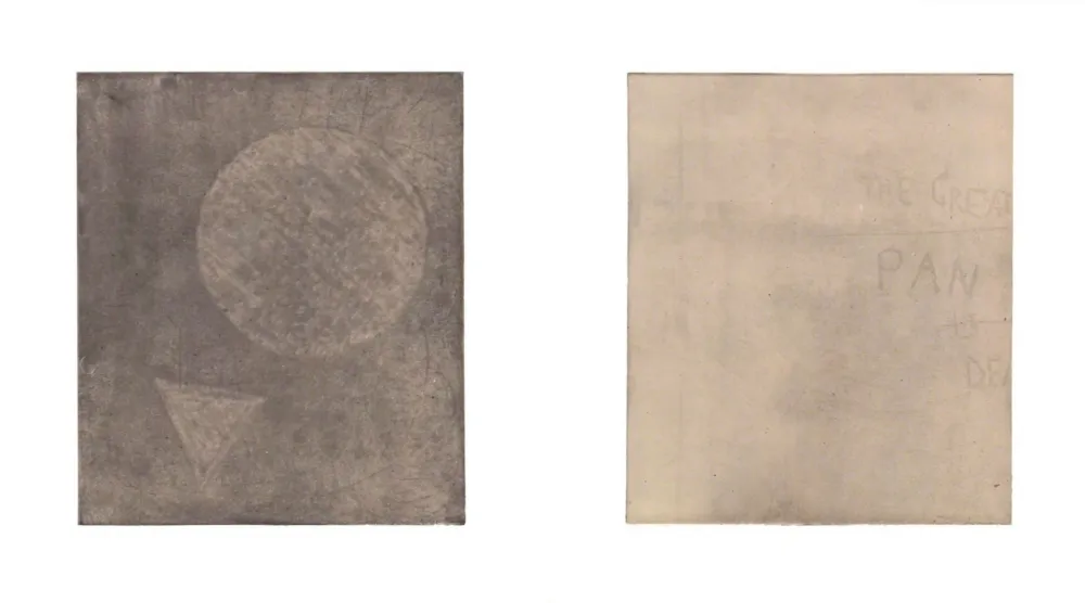 多数の Treleaven - The great pan is dead