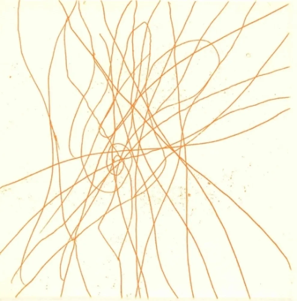 挿絵入り本 Turcato - Poesie giovanili