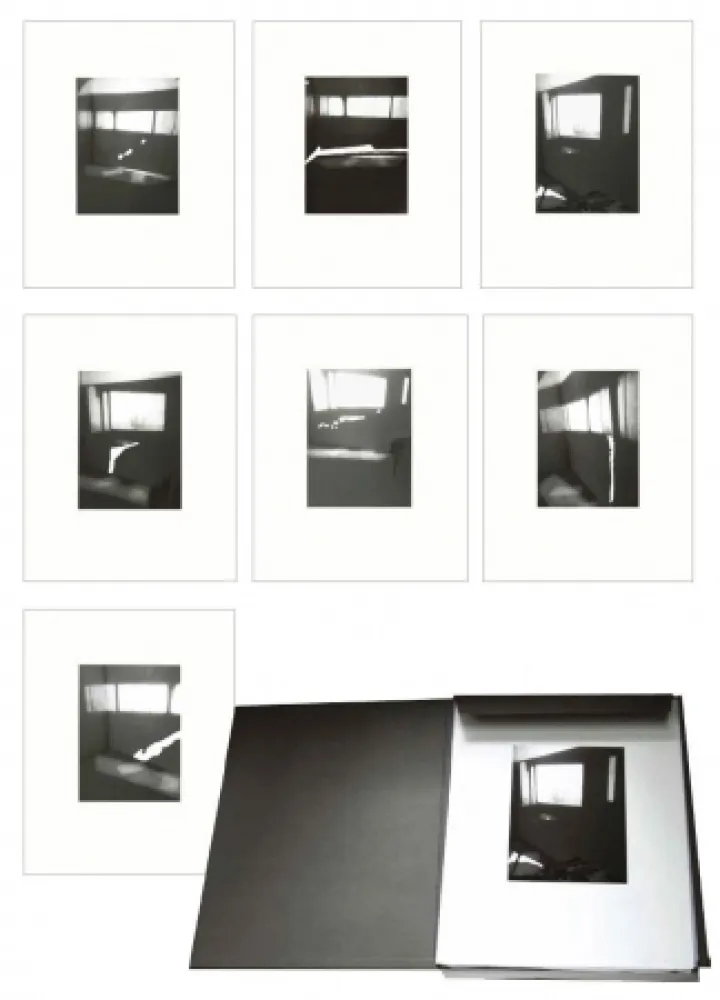 多数の Tuymans - Fenêtres