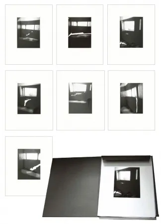 多数の Tuymans - Fenêtres