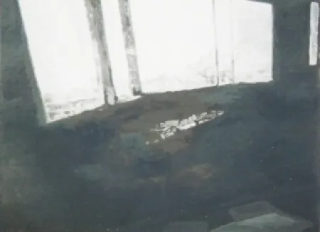 シルクスクリーン Tuymans - Fenêtres