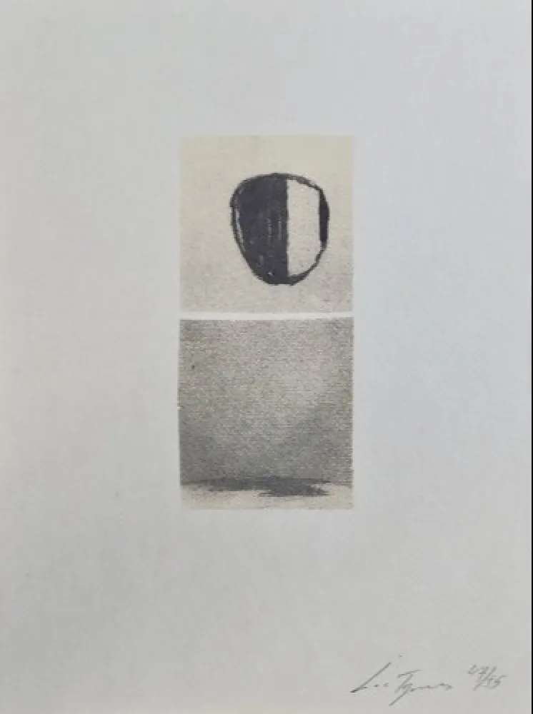 シルクスクリーン Tuymans - Het versluierd beeld