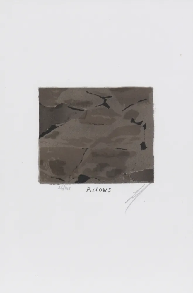 リトグラフ Tuymans - Pillows