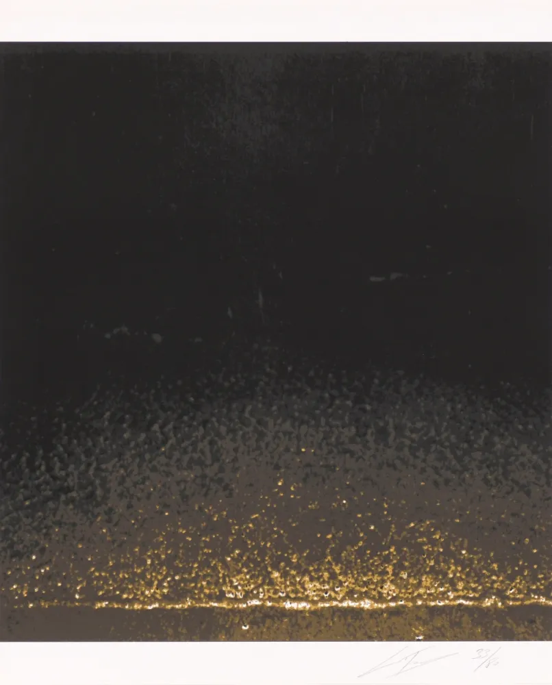 シルクスクリーン Tuymans - Shore