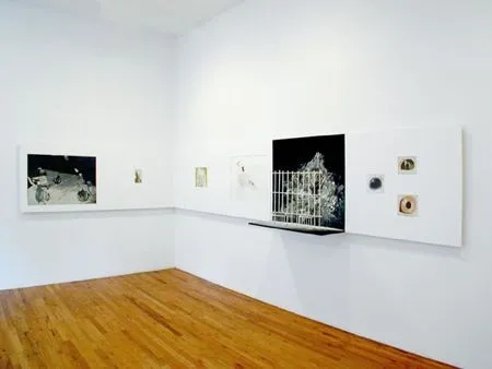 リトグラフ Tuymans - The Rumour