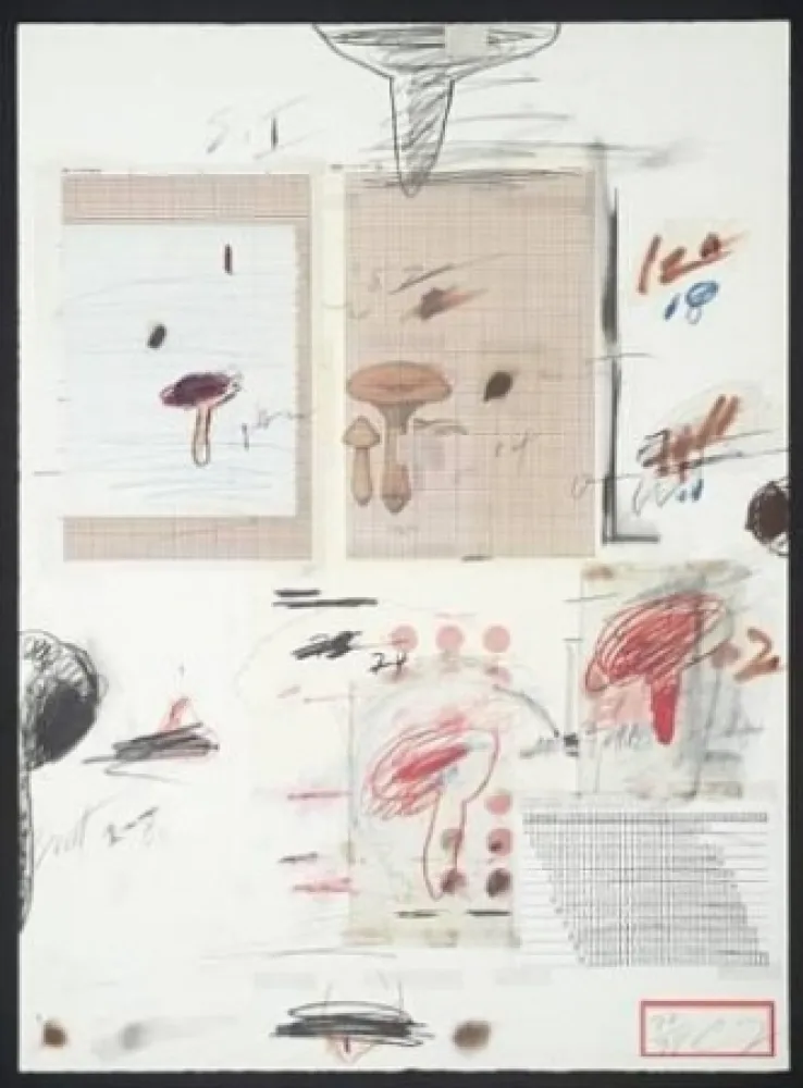 リトグラフ Twombly - Natural History Part I: Mushrooms IV