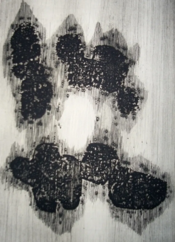 挿絵入り本 Ubac - Lisière du devenir