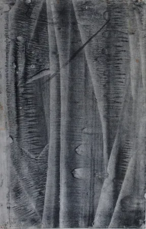 技術的なありません Ubac - Sans titre