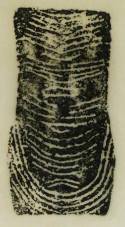 エッチング Ubac - Torse