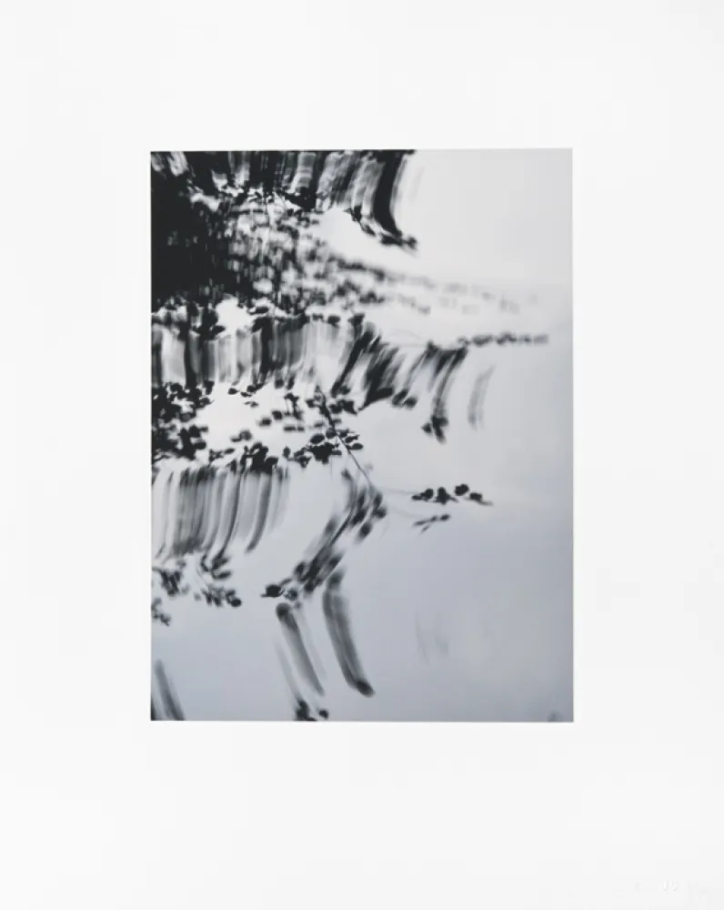 デジタル版画 Usle - Pisuena