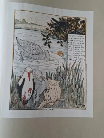 挿絵入り本 Van Hoytema - Het leelijke jonge Eendje