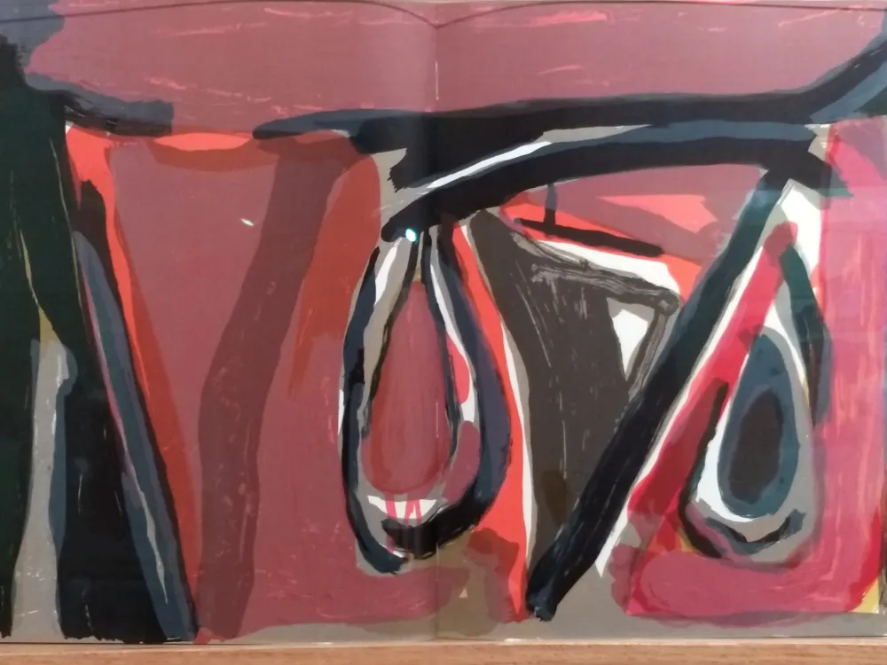 挿絵入り本 Van Velde - DLM 250