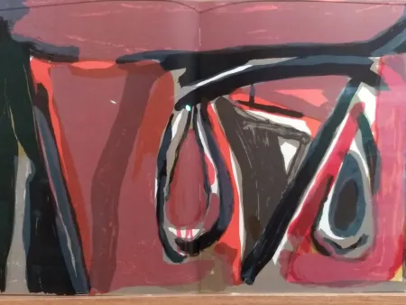 挿絵入り本 Van Velde - DLM 250