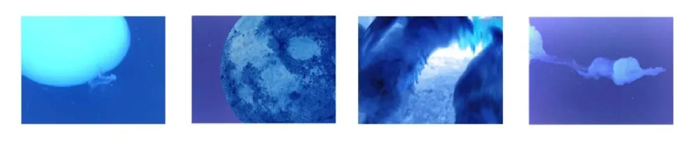 多数の Vanmechelen - Fertility (x4)