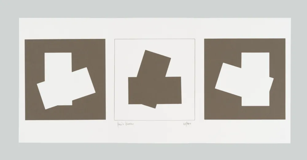 シルクスクリーン Varisco - Composizione