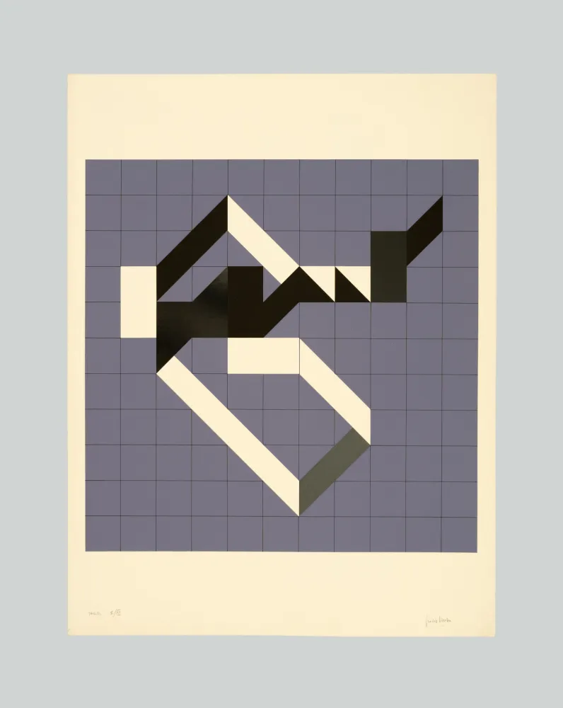 シルクスクリーン Varisco - Random walks (Tav. B)