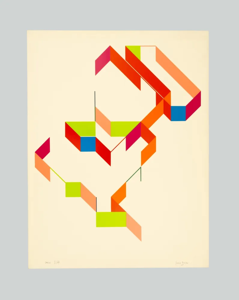 シルクスクリーン Varisco - Random walks (Tav. E)