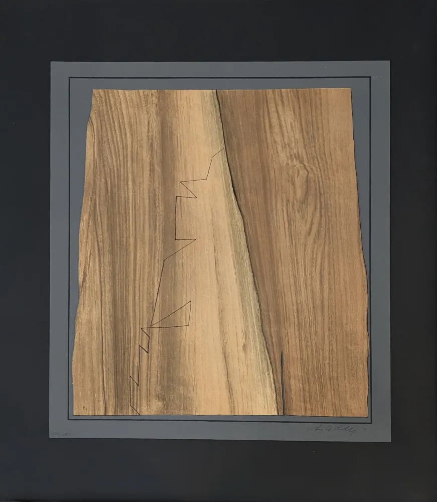 リトグラフ Vasarely - Gordes Nives 