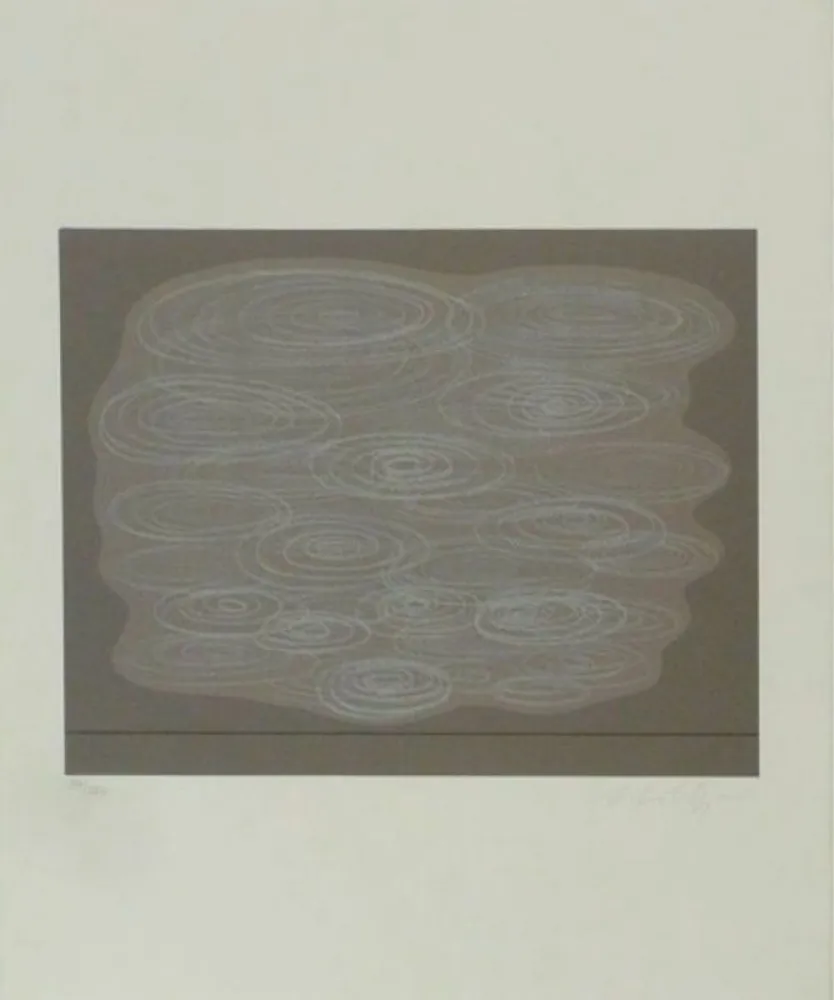 シルクスクリーン Vasarely - Locmaria