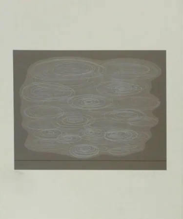 シルクスクリーン Vasarely - Locmaria