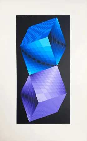 シルクスクリーン Vasarely - Meta
