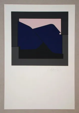 シルクスクリーン Vasarely - Poprad