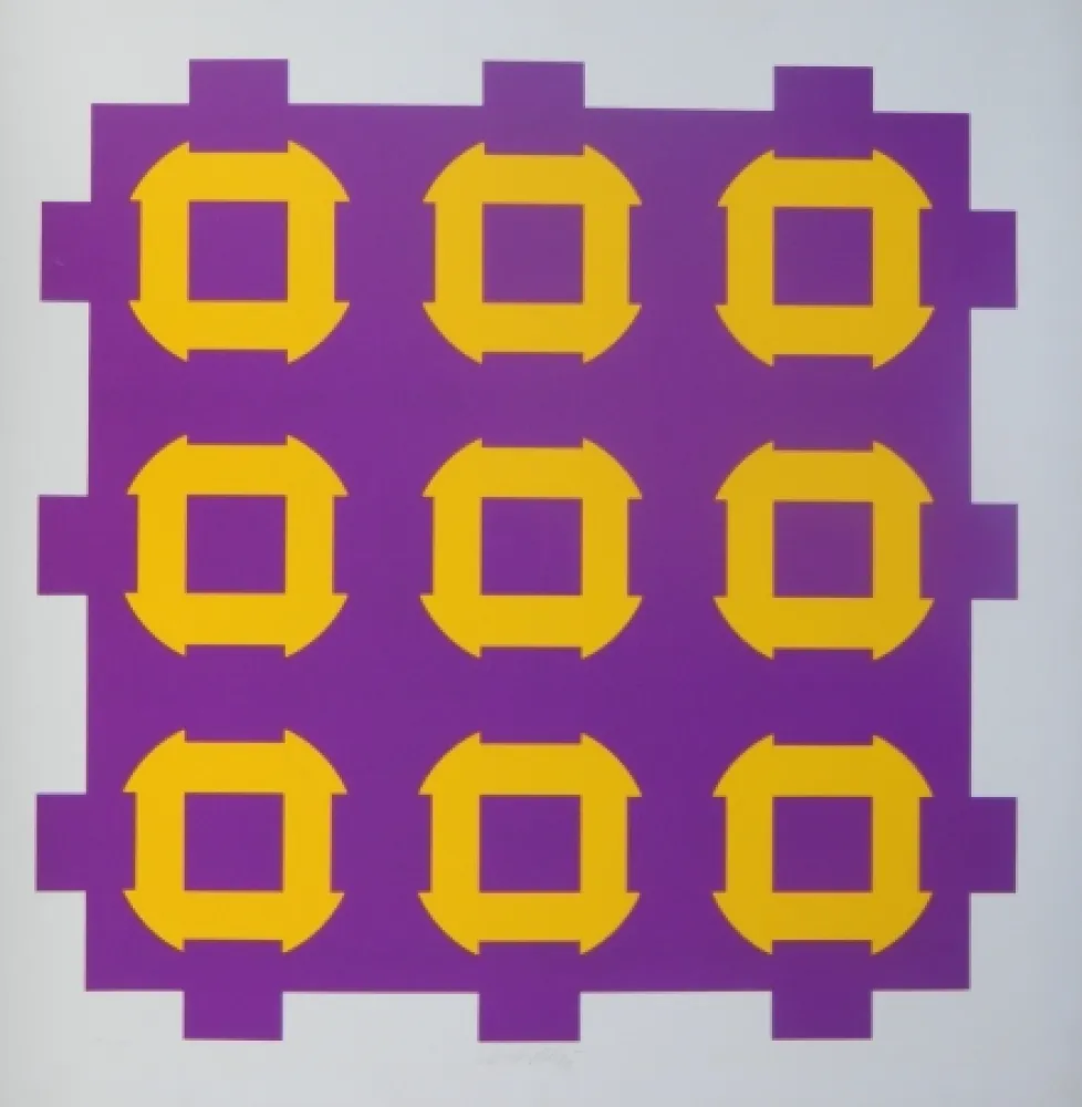 シルクスクリーン Vasarely - Procion C