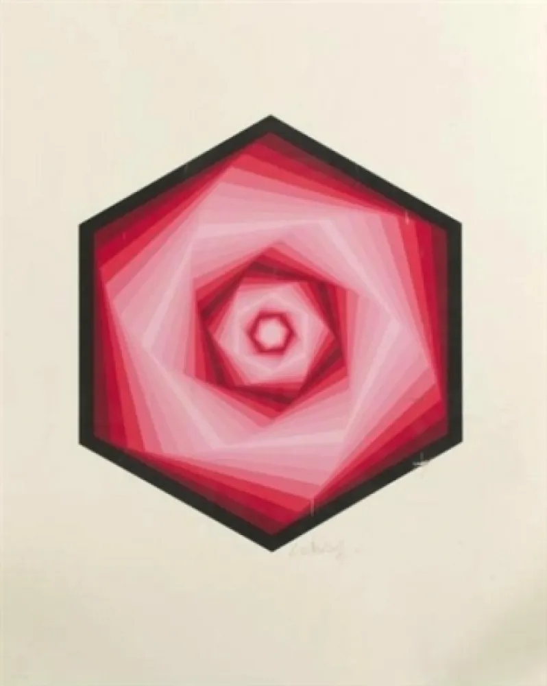 シルクスクリーン Vasarely - Radau