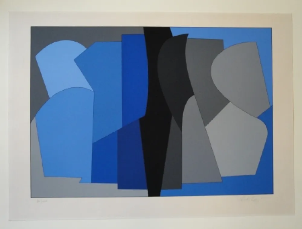 シルクスクリーン Vasarely - Siris Kek