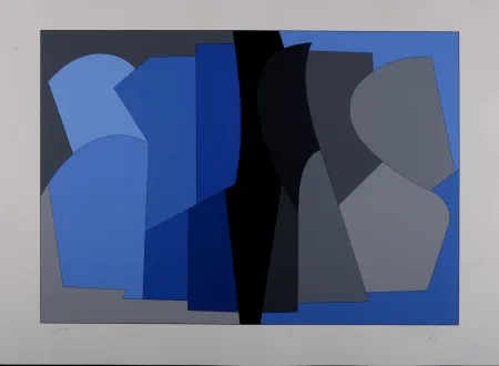 シルクスクリーン Vasarely - Siris Kek