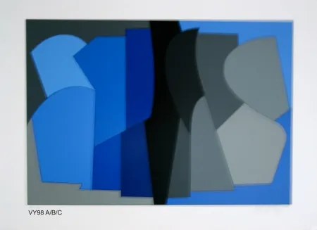 シルクスクリーン Vasarely - Siris kek