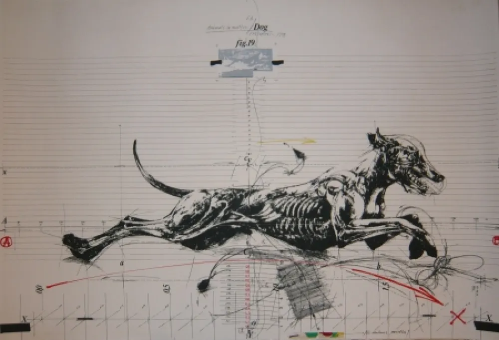 リトグラフ Velickovic - Animals in motion